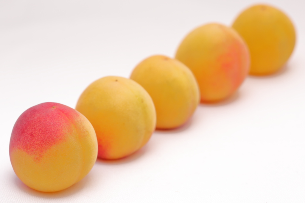 厳選 媛幸梅 完熟梅